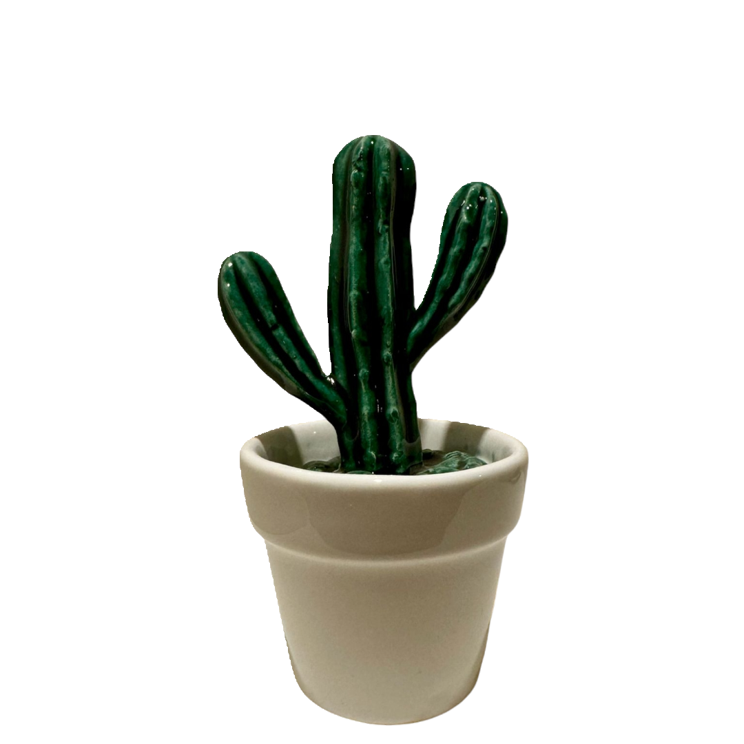 ceramic cactus decoration