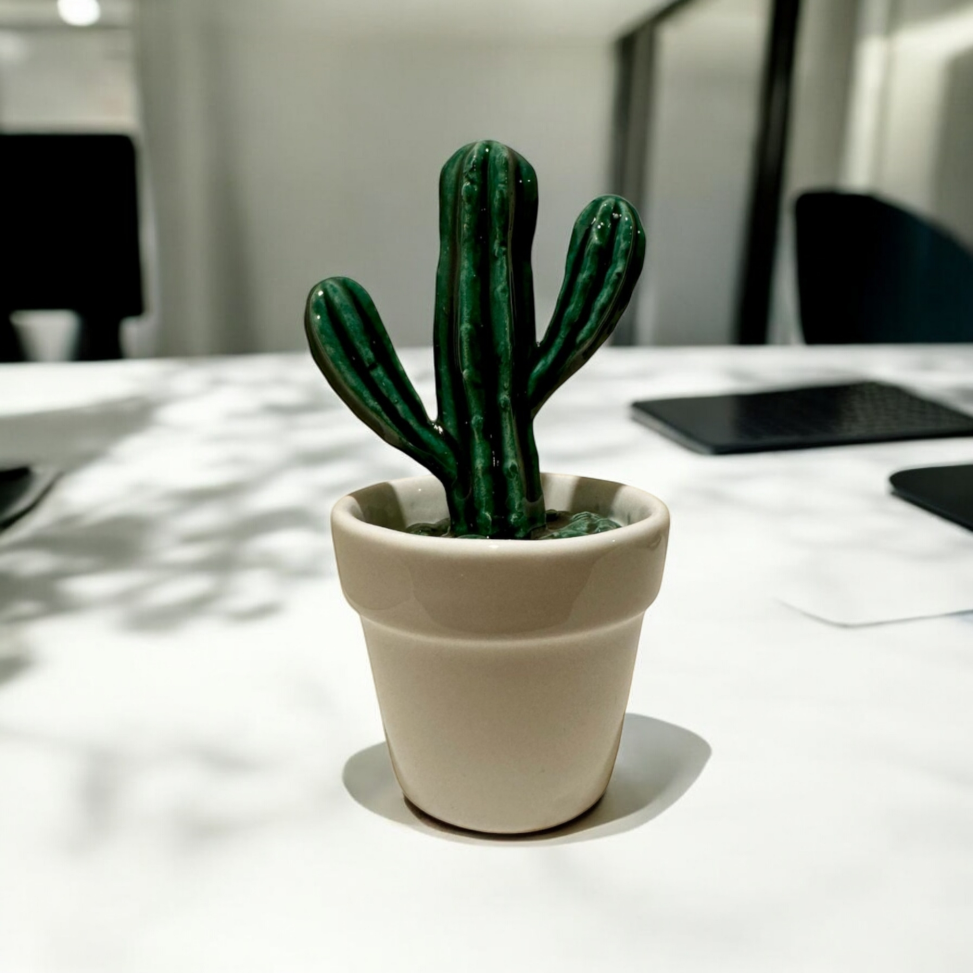 ceramic cactus decoration on an office table